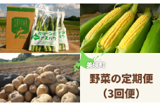 【先行予約】野菜 定期便 3回便 <令和7年産 >黒木農場 グリーンアスパラ（M～2Lサイズ）1kg、ほしつぶコーン12本、じゃがいも3種セット（男爵、キタアカリ（M～2L混）、メークイン（LM））各3kg[040-12]