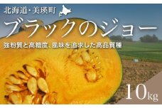 【先行予約】かぼちゃ <令和7年産 >黒木農場 南瓜（ブラックのジョー）|  人気 おすすめ ランキング 旬 かぼちゃ 南瓜 カボチャ 新鮮 鮮度抜群 野菜 ベジタブル おいしい 健康[013-64]