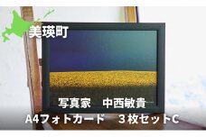 写真家 中西敏貴 A4フォトカード 3枚セットC[014-45]