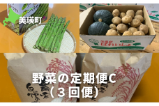 【先行予約】 野菜 定期便C 3回便 <令和7年産 >サスケの家 グリーンアスパラ2kg（L~2L）、秋野菜(かぼちゃ1～2個・じゃがいも(北あかり) 約10ｋｇ）・米(ななつぼし)10kg[049-02]