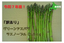 【先行予約】【訳あり】グリーンアスパラ（ラスノーブル）1.5kg <令和7年産 >おおとり  | グリーン アスパラガス アスパラ あすぱら あすぱらがす 採れたて 新鮮 旬 産地直送 野菜 [010-190]