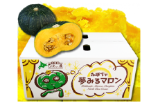 【先行予約】かぼちゃ <令和7年産 >おおとり 夢みるマロン南瓜 | ふるさと納税 人気 おすすめ ランキング 旬 かぼちゃ 南瓜 カボチャ 新鮮 鮮度抜群 野菜 ベジタブル おいしい 健康 北海道 美瑛町 送料無料 [013-59]