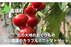 ～北の大地のおくりもの～新田農園のカラフルミニトマトセット[020-73]