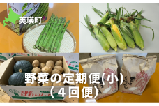 【先行予約】野菜 定期便【小】 4回便 <令和7年産 >サスケの家 グリーンアスパラ1kg（L~2L）、スイートコーン8本（1品種）、秋野菜（じゃがいもきたあかり、かぼちゃ約5kg）、米(ななつぼし)5kg[042-07]