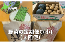 【先行予約】野菜 定期便C【小】 3回便 <令和7年産 >サスケの家 グリーンアスパラ1kg（L~2L）、秋野菜(かぼちゃ・じゃがいも(北あかり) 約5kg）・米(ななつぼし)5kg[032-17]