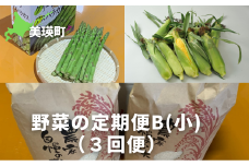 【先行予約】野菜 定期便B【小】 3回便 <令和7年産 >サスケの家 グリーンアスパラ1kg（L~2L）、スイートコーン8本（1品種）、米(ななつぼし)5kg[034-12]