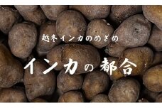極甘じゃがいも「インカの都合」越冬インカのめざめ3kg【2025年3月以降にお届け】越冬 芋 いも イモ ジャガイモ 越冬野菜 墫乃字[015-106]