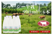 ファームズ千代田 ジャージー牛乳900ml×6本  | 冷蔵 人気 送料無料 お取り寄せ 取り寄せ 北海道 美瑛 おすすめ お土産 北海道料理 北海道土産 おみやげ お土産 牛乳 ジャージー ジャージー牛乳 ノンホモ ノンホモ牛乳 しぼりたて 搾りたて ノンホモジナイズ ノンホモジナイズ製法 希少 [022-38]