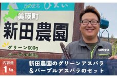 【先行予約】グリーンアスパラ & パープルアスパラ セット<令和7年産 >新田農園  | グリーン アスパラガス アスパラ あすぱら あすぱらがす 採れたて 新鮮 旬 産地直送 野菜[017-57]