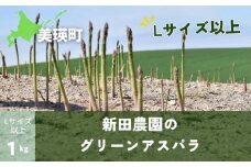 【先行予約】グリーンアスパラ (Lサイズ以上) 1kg <令和7年産 >新田農園  | グリーン アスパラガス アスパラ あすぱら あすぱらがす 採れたて 新鮮 旬 産地直送 野菜[015-115]