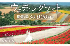 ウェディングフォト 「日本で最も美しい村」連合 北海道 美瑛 30,000円分撮影券 スタジオSOLA | 北海道 美瑛 フォト 前取り 花嫁 記念日 ウェディング ウエディング 結婚記念日 撮影 恋人 お祝い 写真 記念 チケット[100-51]