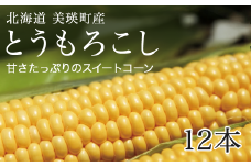 【先行予約】とうもろこし (黄12本) スイートコーン<令和7年産 >美瑛選果 | とうもろこし コーン とうきび 野菜 ベジタブル 産地直送 送料無料 北海道 道産  [012-171]