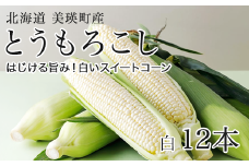 【先行予約】とうもろこし (白12本)  スイートコーン <令和7年産 >美瑛選果 | とうもろこし コーン とうきび 野菜 ベジタブル 産地直送 送料無料 北海道 道産[014-80]