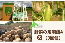 【先行予約】野菜 定期便A【大】 3回便 <令和7年産 >黒木農場 グリーンアスパラ（M～2Lサイズ）2kg、ほしつぶコーン10本 & 雪の妖精10本、じゃがいも3種セット（男爵、キタアカリ（M～2L混）、インカのめざめ（2S以上混））各3kg[056-04]