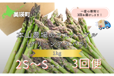 【令和8年産先行予約】  幻のアスパラ 2S～Sサイズ 1kg 3回便 ラスノーブル <令和8年産 > 北海道 美瑛町 本山農場 グリーンアスパラ | グリーン アスパラガス アスパラ あすぱら あすぱらがす 採れたて 新鮮 旬 産地直送 野菜[030-101]