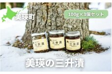 あらいふぁーむ 三升漬 100g×3個セット | 北海道 保存食 郷土料理 無添加 つまみ  おつまみ  白米 [015-120]