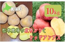 【先行予約】じゃがいも 10kg 北あかり & レッドアンデス <令和7年産 >松本農場   | 北あかり きたあかり キタアカリ レッドアンデス 秋野菜 10kg 人気 おすすめ ランキング いも 芋 イモ じゃがいも ジャガイモ 野菜[014-81]