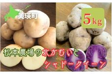 【先行予約】じゃがいも 5kg 北かむい & シャドークイーン <令和7年産 >松本農場   | 北かむい きたかむい キタカムイ シャドークイーン 秋野菜 5kg 人気 おすすめ ランキング いも 芋 イモ じゃがいも ジャガイモ 野菜[009-31]