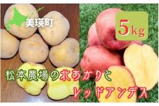 【先行予約】じゃがいも 5kg  北あかり & レッドアンデス <令和7年産 >松本農場  | 北あかり きたあかり キタアカリ レッドアンデス 秋野菜 5kg 人気 おすすめ ランキング いも 芋 イモ じゃがいも ジャガイモ 野菜[009-30]