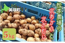 【先行予約】じゃがいも 5kg 北あかり  &  北かむい <令和7年産 >松本農場  | きたかむい キタカムイ 北あかり きたあかり キタアカリ 秋野菜 5kg 人気 おすすめ ランキング いも 芋 イモ じゃがいも ジャガイモ 野菜[008-29]