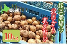 【先行予約】じゃがいも 10kg 北あかり & 北かむい <令和7年産 >松本農場   | きたかむい キタカムイ 北あかり きたあかり キタアカリ 秋野菜 10kg 人気 おすすめ ランキング いも 芋 イモ じゃがいも ジャガイモ 野菜[012-178]