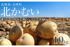 【先行予約】じゃがいも 10kg 北かむい <令和7年産 >松本農場   | きたかむい キタカムイ 秋野菜 10kg 人気 おすすめ ランキング いも 芋 イモ じゃがいも ジャガイモ 野菜[012-177]