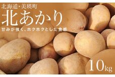 【先行予約】じゃがいも 10kg 北あかり <令和7年産 >松本農場   | キタアカリ きたあかり秋野菜 10kg 人気 おすすめ ランキング いも 芋 イモ じゃがいも ジャガイモ 野菜[012-176]