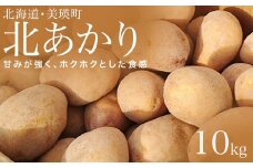 【先行予約】じゃがいも 10kg 北あかり <令和7年産 >松本農場   | キタアカリ きたあかり秋野菜 10kg 人気 おすすめ ランキング いも 芋 イモ じゃがいも ジャガイモ 野菜[012-176]