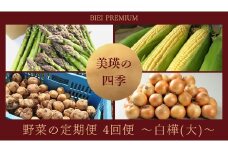 【先行予約】<令和7年産 > 美瑛の四季 野菜 定期便【白樺(大)】4回便 |  アスパラ とうもろこし  食べ比べ 送料無料 セット 玉ねぎ 人気 おすすめ ランキング いも 芋 イモ じゃがいも ジャガイモ 野菜 4か月 4回便 4回[063-04]