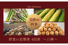 【先行予約】<令和8年産 > 美瑛の四季 野菜 定期便【白樺】4回便 |  アスパラ とうもろこし  食べ比べ 送料無料 セット 玉ねぎ 人気 おすすめ ランキング いも 芋 イモ じゃがいも ジャガイモ 玉ねぎ タマネギ 玉葱 野菜 4か月 4回便 4回[036-46]