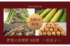 【先行予約】<令和8年産 > 美瑛の四季 野菜 定期便【浜茄子】5回便 |  アスパラ とうもろこし  食べ比べ 送料無料 セット 玉ねぎ 人気 おすすめ ランキング いも 芋 イモ じゃがいも ジャガイモ 玉ねぎ タマネギ 玉葱 野菜 5か月 5回便 5回[049-04]
