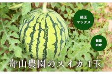 ≪令和７年産予約受付！≫舟山農園　スイカ1玉(縞王マックス) |  すいか スイカ 西瓜 フルーツ 果物 野菜 送料無料 北海道 道産 産地直送 数量限定 美瑛 北海道美瑛 北海道美瑛町 美瑛町  [013-80]