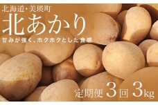 【先行予約】じゃがいも 3kg 定期便 3ヶ月北あかり <令和7年産 >松本農場   | 北あかり きたあかり キタアカリ 秋野菜 3kg 人気 おすすめ ランキング いも 芋 イモ じゃがいも ジャガイモ 野菜 3か月 3回便 3回[0165-01]