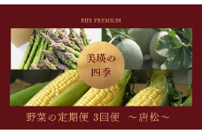 【先行予約】<令和8年産 > 美瑛の四季 野菜 定期便【唐松】3回便 |  アスパラ メロン とうもろこし 送料無料 セット 人気 おすすめ ランキング 野菜 3か月 3回便 3回[052-12]