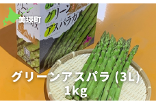 【先行予約】 グリーンアスパラ (3L)  1kg <令和8年産 >サスケの家| グリーン アスパラガス アスパラ あすぱら あすぱらがす 採れたて 新鮮 旬 産地直送 野菜[016-93]