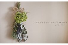 アナベルとホワイトポプラのブーケ【富良野 花七曜 】