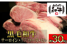 【農林水産大臣賞受賞】 ふらの和牛・豪華部位半頭買いセット