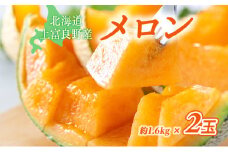 【 2025年 発送 】 先行予約 メロン かみふらの 赤肉 メロン 約 1.6kg 2玉 セット めろん 果物 フルーツ デザート くだもの 旬の果物 旬のフルーツ 北海道 上富良野 産地直送