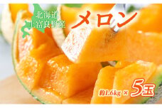 【2024年発送】かみふらの 赤肉メロン 約1.6kg 5玉 セット 北海道 上富良野町 メロン 先行予約 令和6年発送