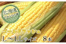 朝採りとうもろこし【ゴールドラッシュ】L～LL 8本セット≪北海道上富良野町産≫