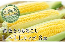 朝採り【黄いとうもろこし】L～LL 8本セット≪北海道上富良野町産≫ 野菜 トウモロコシ 