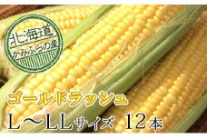 朝採りとうもろこし【ゴールドラッシュ】L～LL 10本セット≪北海道上富良野町産≫