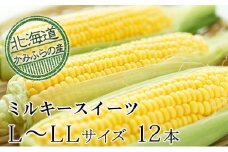 朝採りとうもろこし【ミルキースイーツ】L～LL 10本セット≪北海道上富良野町産≫