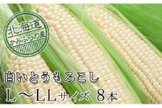朝採り【白いとうもろこし】L-LL 8本セット≪北海道上富良野町産≫