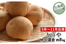 じゃがいも【とうや】約8kg（Ｍ～L混合）≪北海道上富良野産≫