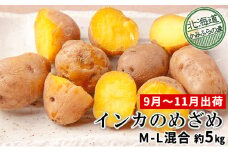 じゃがいも【インカのめざめ】約5kg（M～L混合）≪北海道上富良野産≫