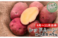 じゃがいも【レッドムーン】約5kg（M～L混合）≪北海道上富良野産≫
