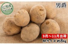 新じゃがいも【男爵】約8kg≪北海道上富良野産≫