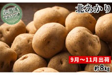 新じゃがいも【北あかり】約8kg≪北海道上富良野産≫