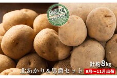 新じゃがいも2種食べ比べセット計約8kg≪北海道上富良野産≫